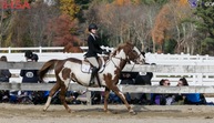 Skyhawks Equestrian Nationals Preview